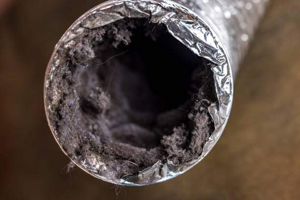 Best Residential Air Duct Cleaning  in Cupertino, CA